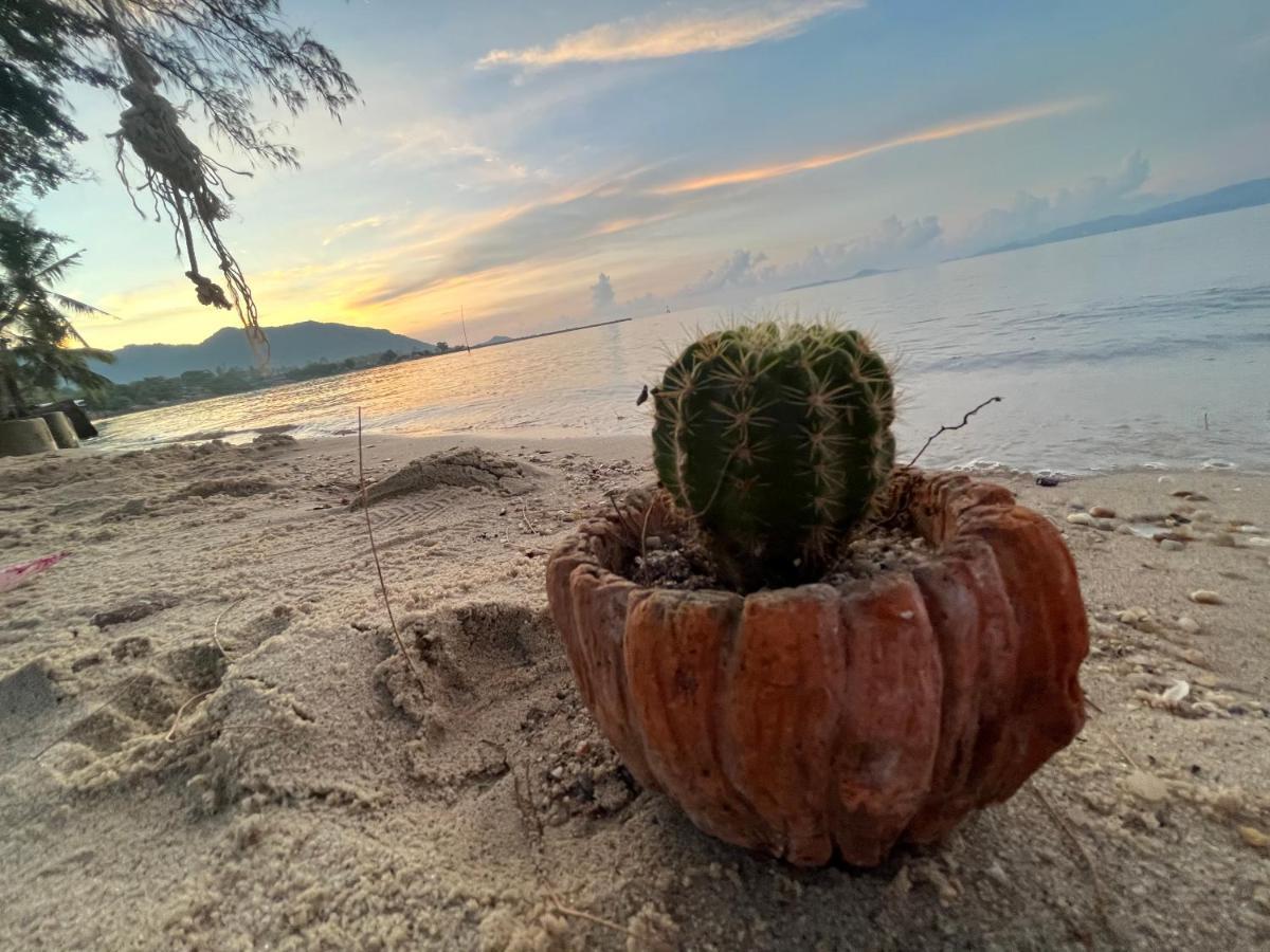 Phangan Dream Box Hotel Baan Tai Ngoại thất bức ảnh