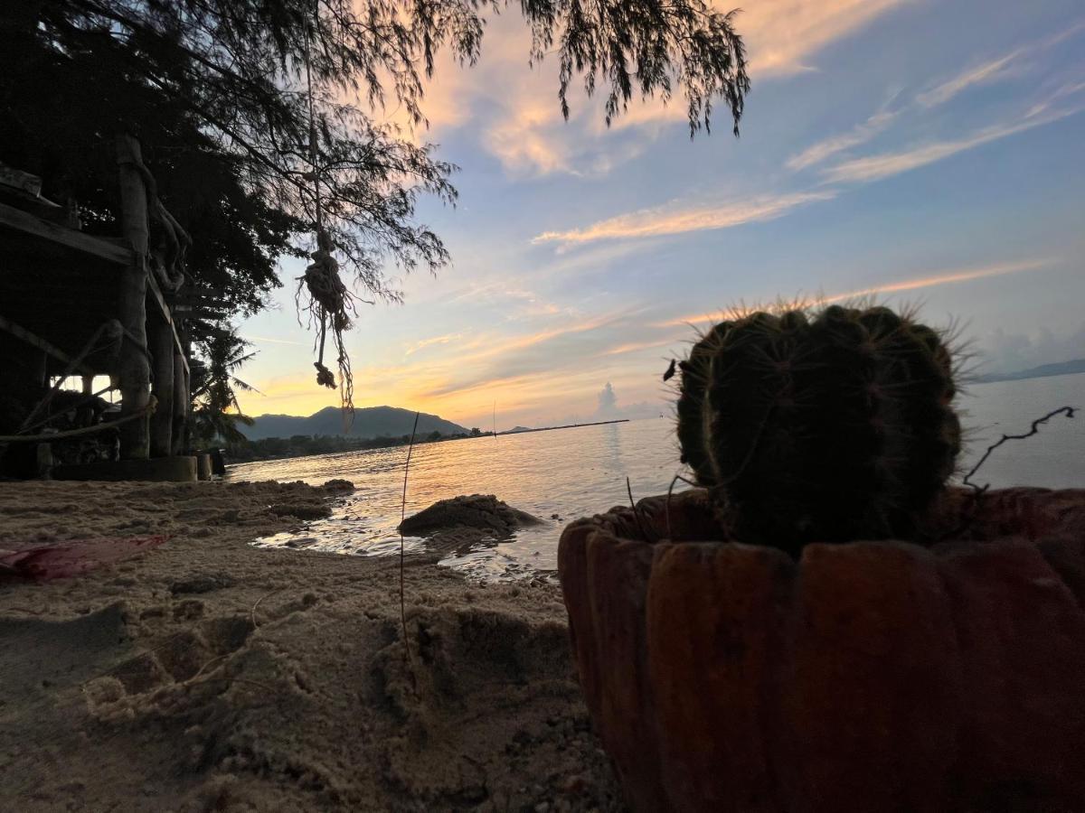 Phangan Dream Box Hotel Baan Tai Ngoại thất bức ảnh